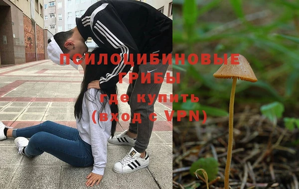 марки nbome Вяземский