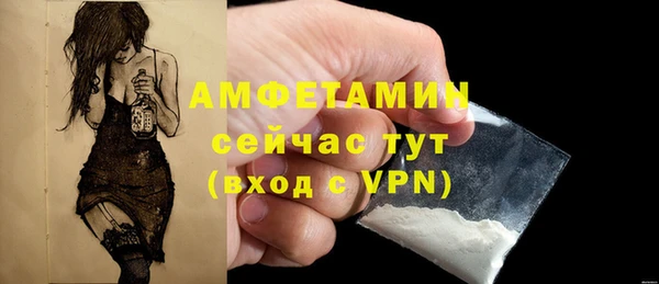 индика Горно-Алтайск