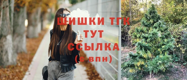 таблы Горнозаводск