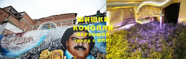 экстази Горняк