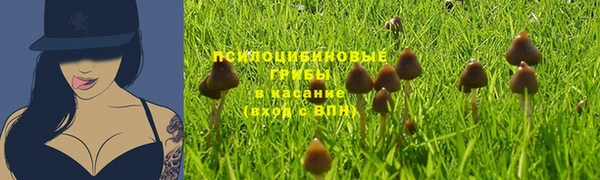 марки nbome Вяземский