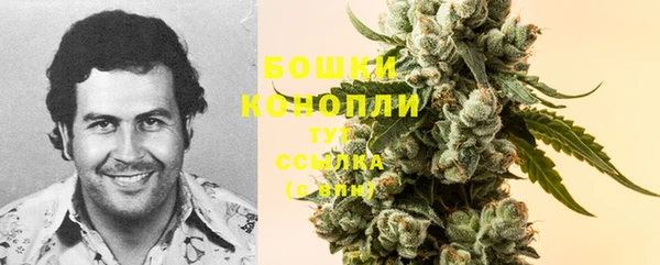марки nbome Вяземский