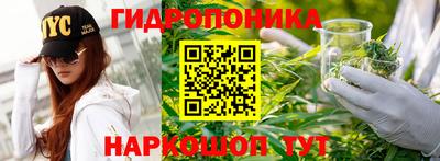 ГАЛЛЮЦИНОГЕННЫЕ ГРИБЫ Гагарин