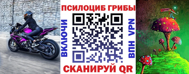 Псилоцибиновые грибы GOLDEN TEACHER  Дальнереченск 