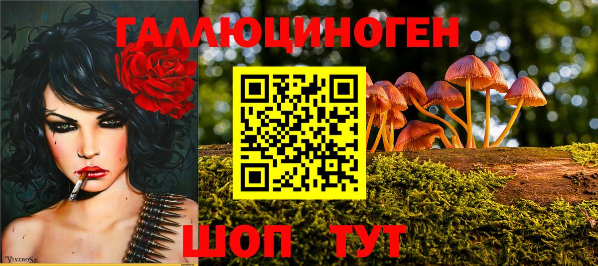 Псилоцибиновые грибы мицелий Дальнереченск
